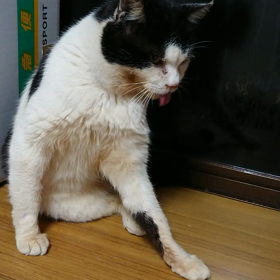 寒太くんの画像