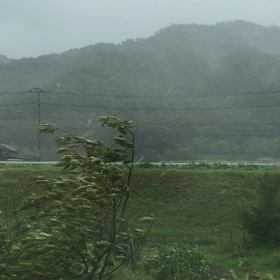 台風2の画像