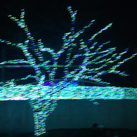 キラキラ✡｡:*動画の画像