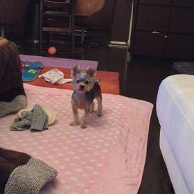 ぼくとあそんでよ。の画像