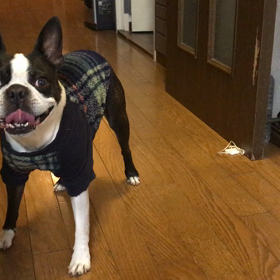 森鴎外と柴三郎の画像