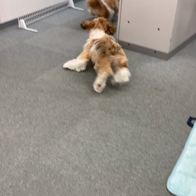 毎朝のルーティーンの画像