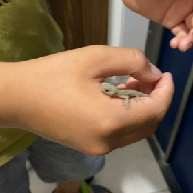 家を守るの画像