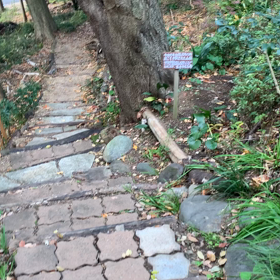 陽のあたる場所の画像