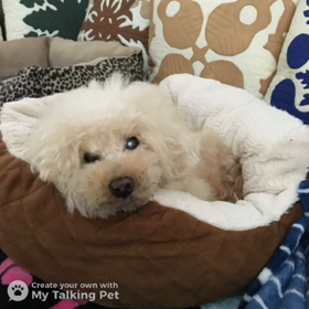 ”祝‼︎ MOCHAさんお誕生日”の画像