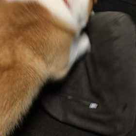 今日は人間ドックの日の画像