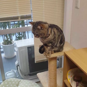 テツ何を思う？の画像