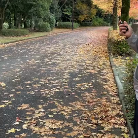 11月5日  1000m⑤の画像