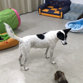 ♪プレイルーム動画♪の画像