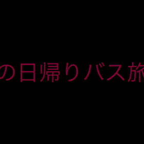 テレビ撮影されたバスツアー動画の画像