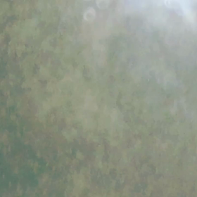 3月1発目の微生物の画像