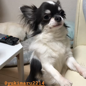 まるくん萌え～♥️の画像