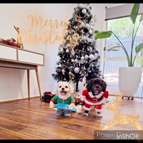 クリスマスイブの画像