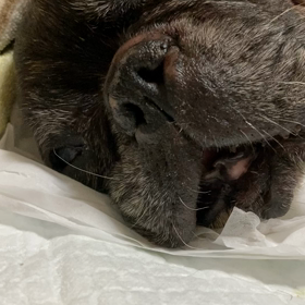 意地悪なふーちゃんの画像