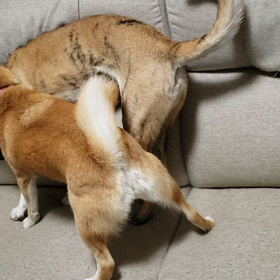 朝から(((^_^;)の画像