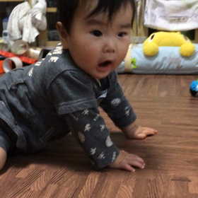 お久しぶりですの画像