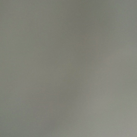 鶯song  (一羽)の画像
