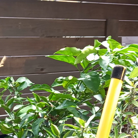 農産物直売所への画像