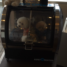 ⬛️1/11〜1/17＊酸素カプセルご利用のお友達⬛️の画像