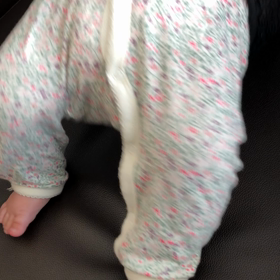 逆ハイハイ！？の画像