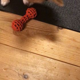 おやつくれーの画像