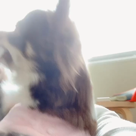 Hi⸜(๑⃙⃘'ᵕ'๑⃙⃘)⸝⋆︎* あたちアンジよの画像