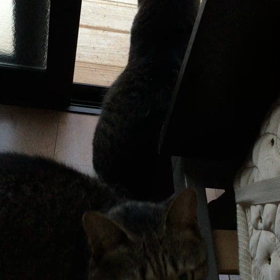 順番待ち〜 1の画像