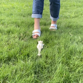 モモンズとお出かけの画像