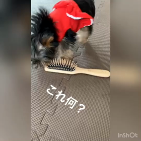 ののは戦いまちたの画像