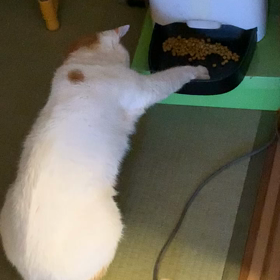 １月・２月スケジュールの画像