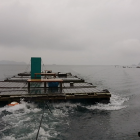 立目沖筏記事修正再送の画像