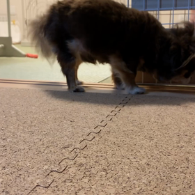 朝からデレデレ♡の画像