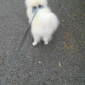 雨の間に②の画像