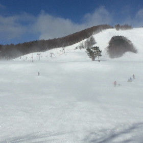 強風の泉ヶ岳の画像