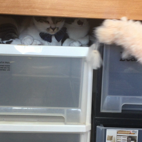 闘いの記録 ➃の画像