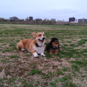 Wごろーん。の画像