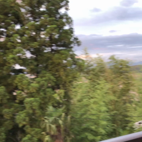 ひぐらしの画像