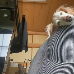 もうすぐ本番の画像