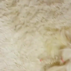 キョンちゃんの画像