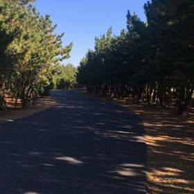 「認めると好い加減」の画像