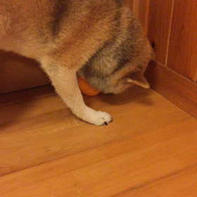 ボールが・・・の画像