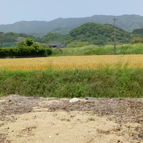 このメロディー何だったっけ?の画像