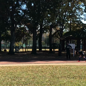 リレー特別練習⑬の画像