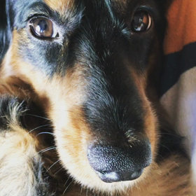 アップからのおっぴろげ〜の画像