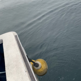 溜まってきました！の画像