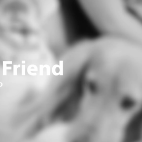 オチャメだわの画像