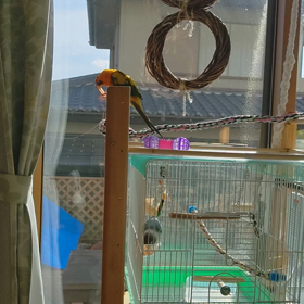 カレンの週末 初冬編の画像