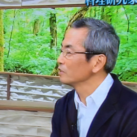 おはよーござい夏の画像