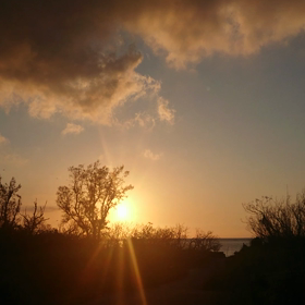 ☆癒しの風景☆の画像
