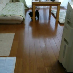 で数時間楽しませてもらいましたの画像